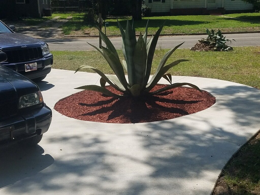 Curved driveway with circular landscaped centerpiece cutout poured by Willie Jackson